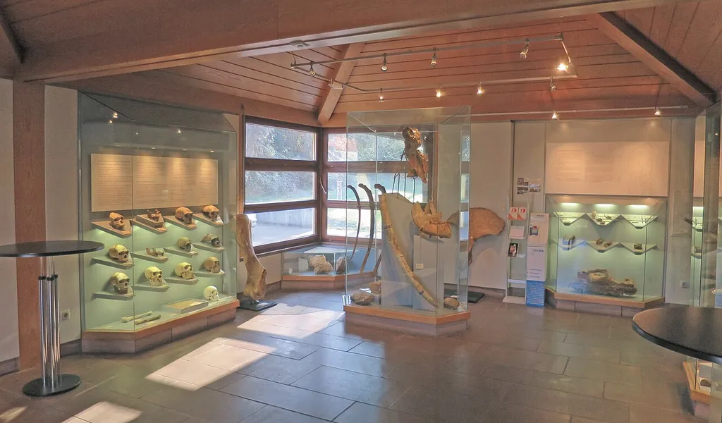 Urgeschichtliches Museum im Rathaus in Mauer
