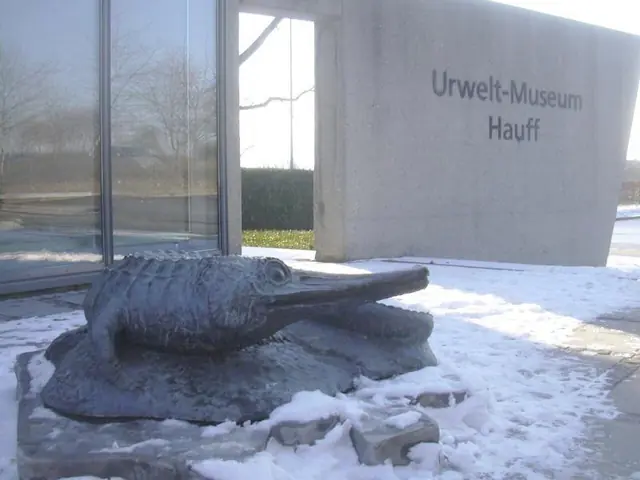 Urwelt-Museum Hauff in Holzmaden