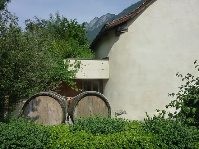 Torculum Weinbaumuseum in Chur